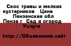 Скос травы и мелких кустарников › Цена ­ 500 - Пензенская обл., Пенза г. Сад и огород » Услуги   